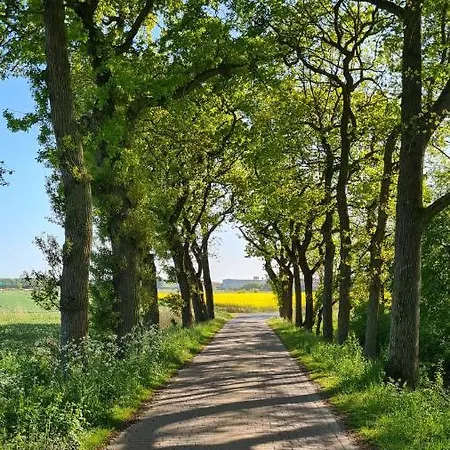 Baltrum Auf Dem Elisenhof 아파트 Hagermarsch