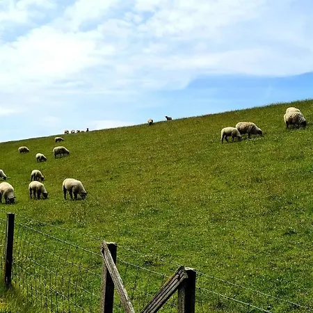 Baltrum Auf Dem Elisenhof 아파트