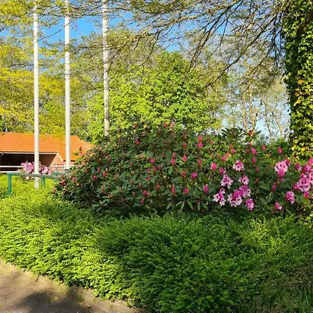 Baltrum Auf Dem Elisenhof * Hagermarsch