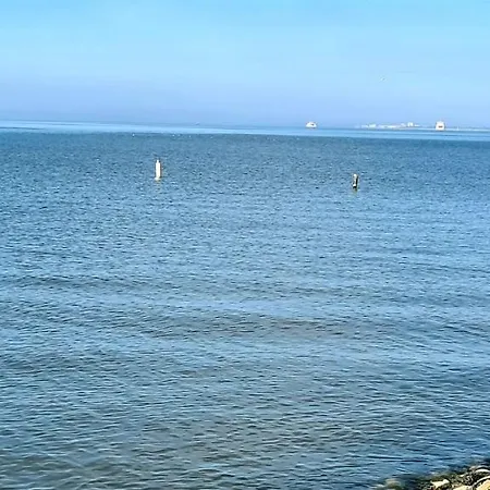 Baltrum Auf Dem Elisenhof