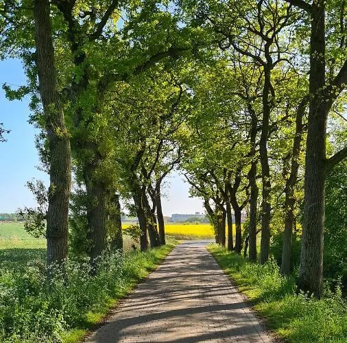 Baltrum Auf Dem Elisenhof 아파트 Hagermarsch