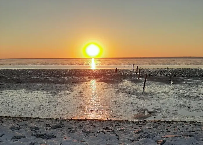 公寓 Baltrum Auf Dem Elisenhof *