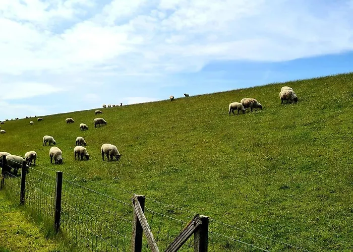 Baltrum Auf Dem Elisenhof 公寓