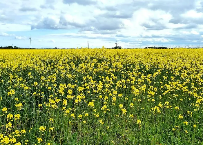 公寓 Baltrum Auf Dem Elisenhof Hagermarsch