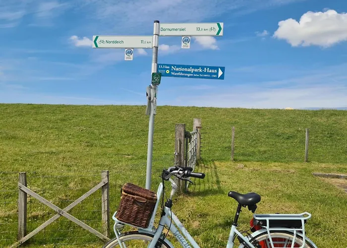 公寓 Baltrum Auf Dem Elisenhof *